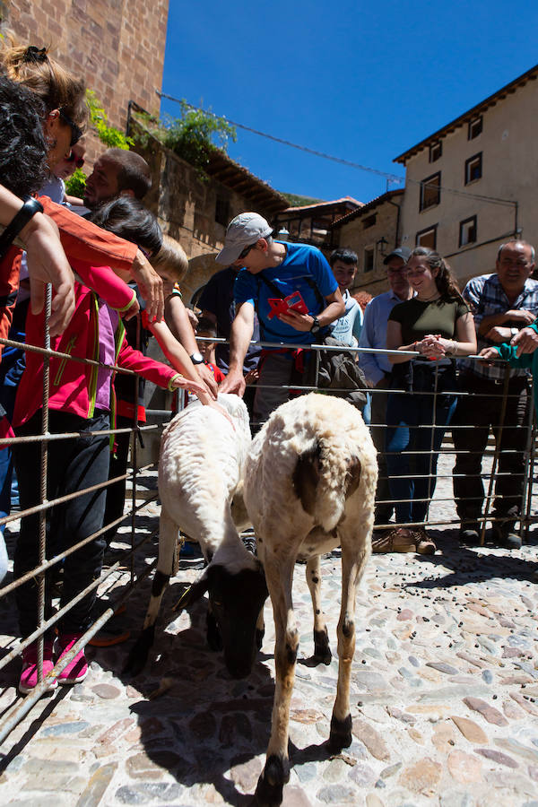 La localidad serrana de Brieva ha revivido la trashumancia. La búsqueda de pastos frescos para los rebaños de ovejas de otras latitudes a la sierra riojana y que mantiene vivas las tradiciones, los caminos y cañadas para alimentar a las cabañas ovina.