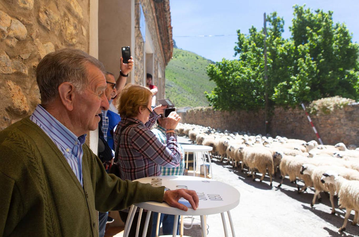 La localidad serrana de Brieva ha revivido la trashumancia. La búsqueda de pastos frescos para los rebaños de ovejas de otras latitudes a la sierra riojana y que mantiene vivas las tradiciones, los caminos y cañadas para alimentar a las cabañas ovina.