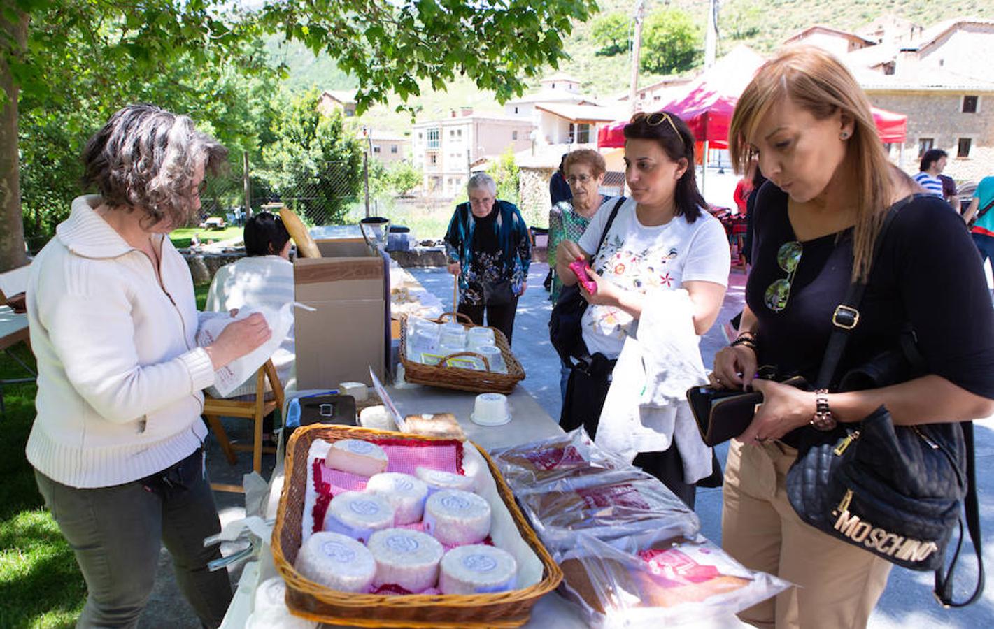 La localidad serrana de Brieva ha revivido la trashumancia. La búsqueda de pastos frescos para los rebaños de ovejas de otras latitudes a la sierra riojana y que mantiene vivas las tradiciones, los caminos y cañadas para alimentar a las cabañas ovina.