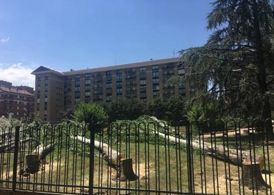 Imagen secundaria 1 - El PSOE denuncia una «tala indiscriminada» de los árboles de la Plaza México