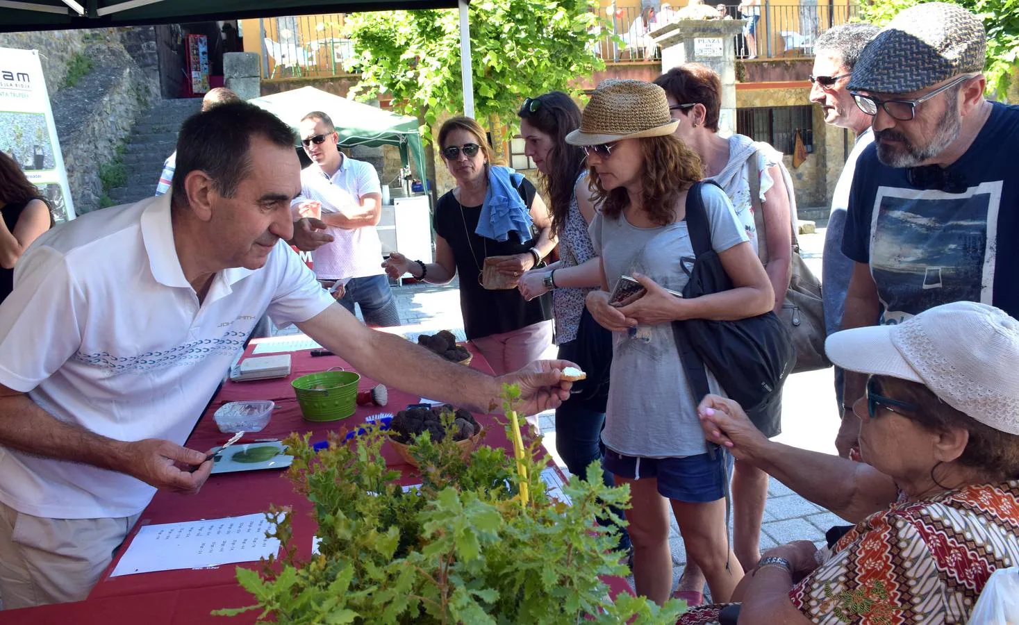 La localidad celebra la tradicional jornada, con actividades y degustaciones