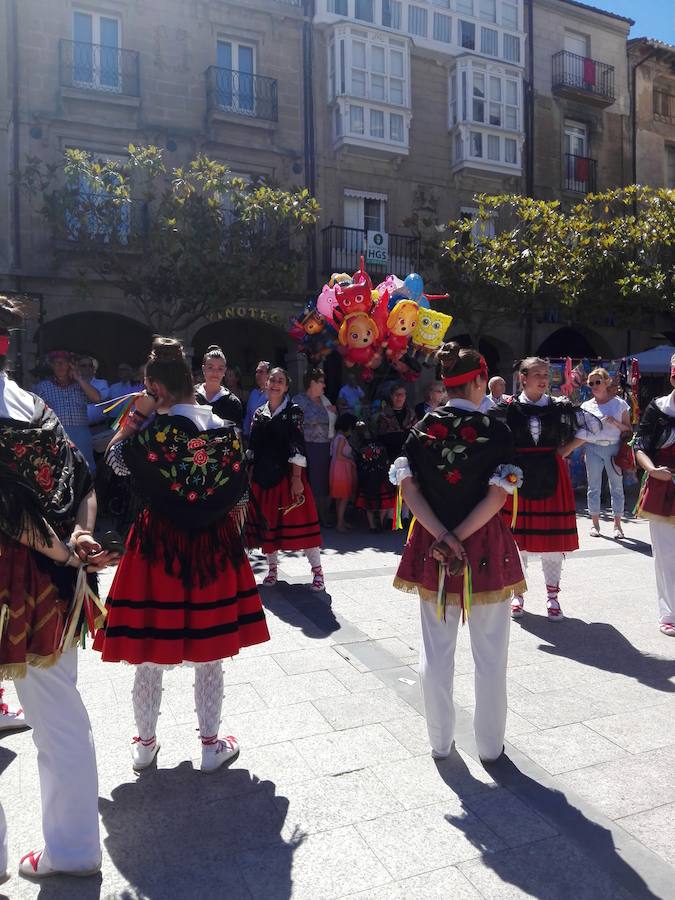 Bajo un calor de justicia las fiestas de Haro siguen desgranando el programa con la procesión y la misa de San Felices que ha oficiado el obispo de la diócesis y en la que han participado los miembros de la Coral Polifónica local.