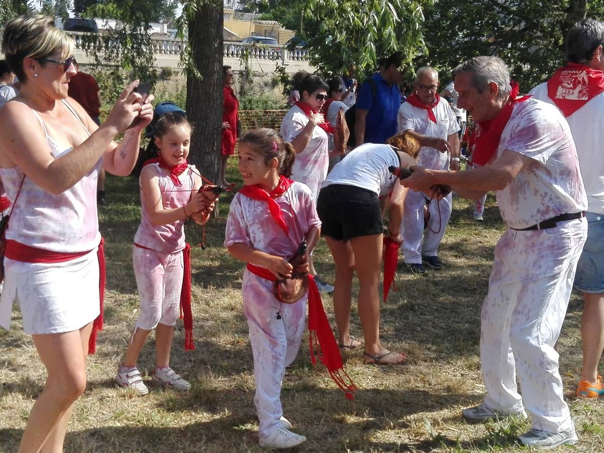 Fotos: La versión infantil de la batalla del vino en Haro