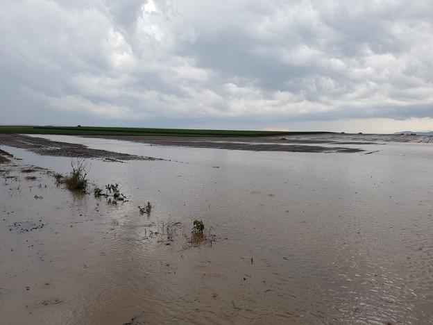 Una finca anegada después de la repentina tormenta sufrida el domingo cerca del municipio de Zarratón. :: l.r.