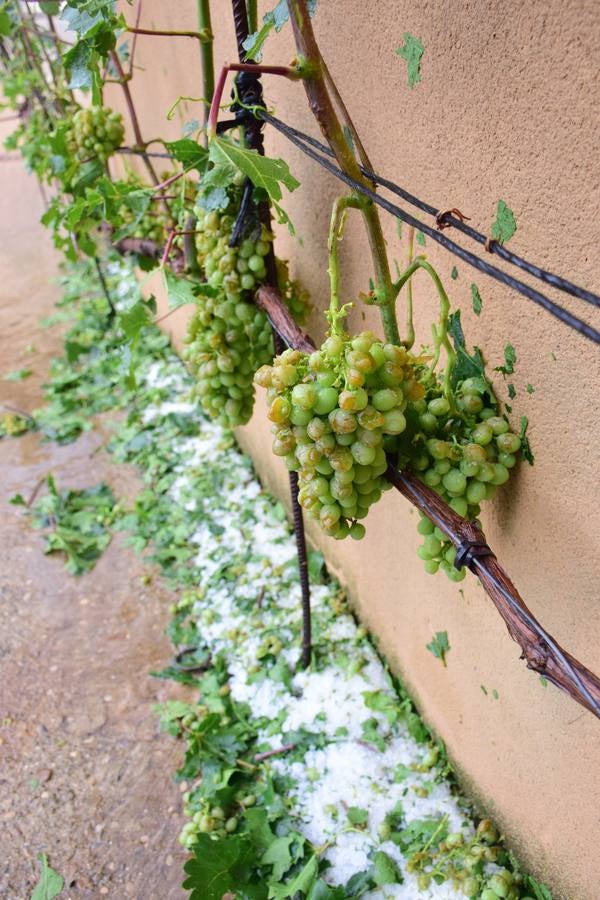 La tormenta de granizo de Murillo causó graves daños.