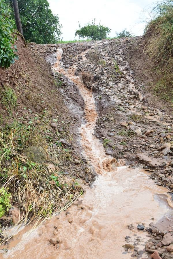 La tormenta de granizo de Murillo causó graves daños.