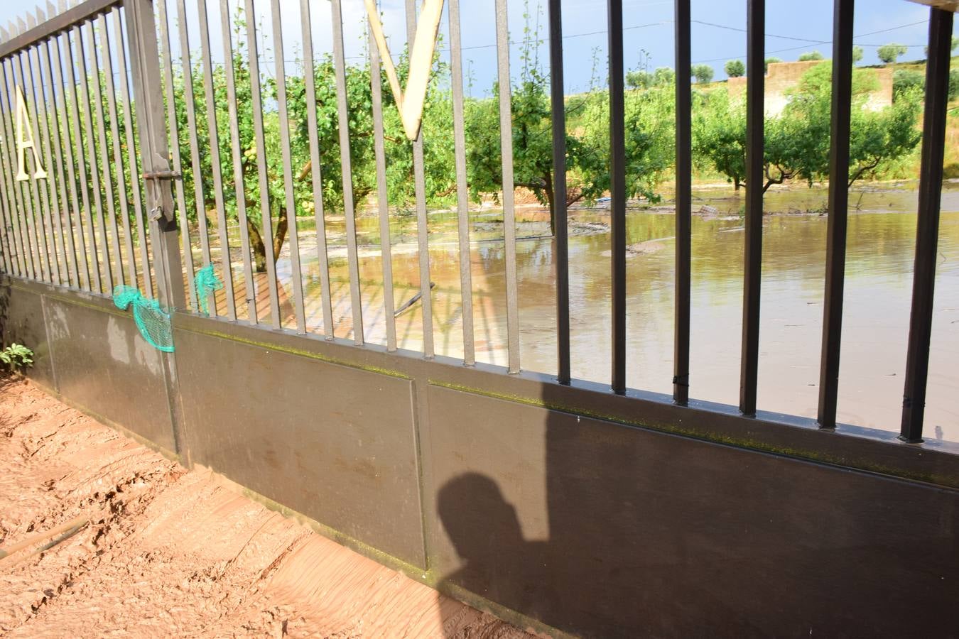 La tormenta de granizo de Murillo causó graves daños.