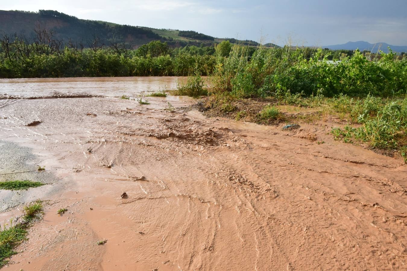 La tormenta de granizo de Murillo causó graves daños.