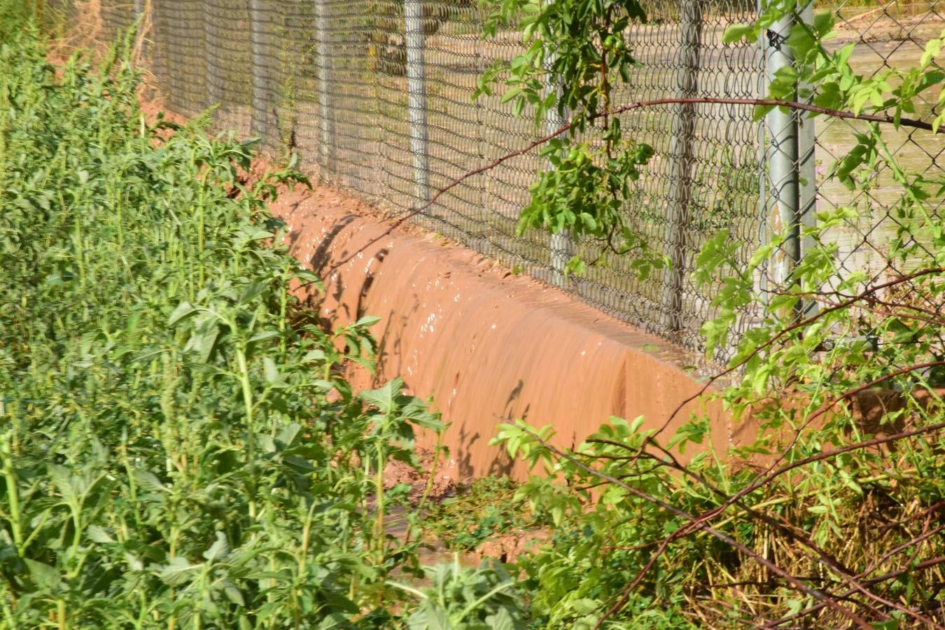 La tormenta de granizo de Murillo causó graves daños.