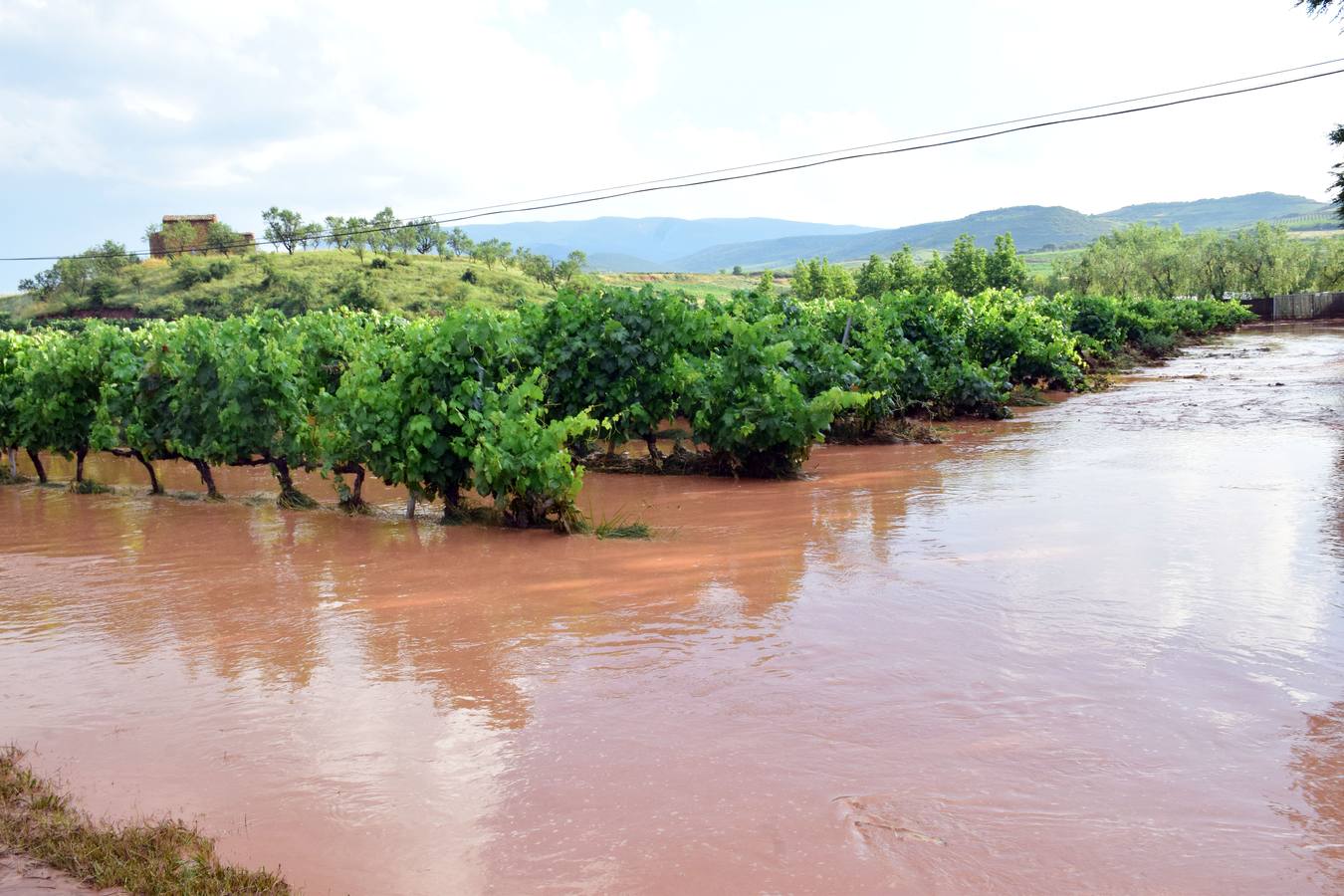 La tormenta anegó campos y calles en Navarrete.