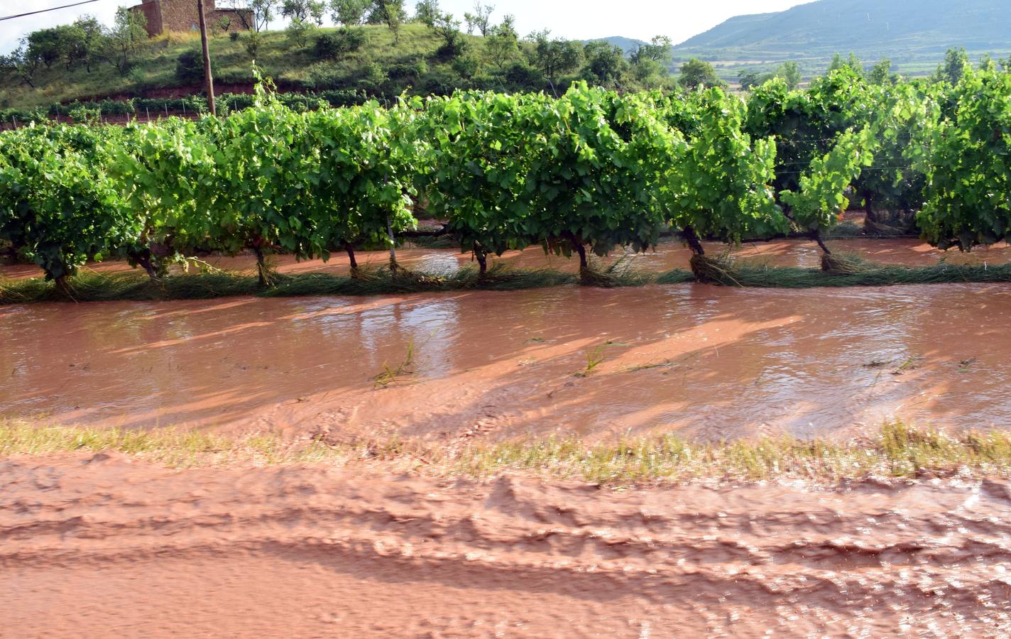 La tormenta anegó campos y calles en Navarrete.