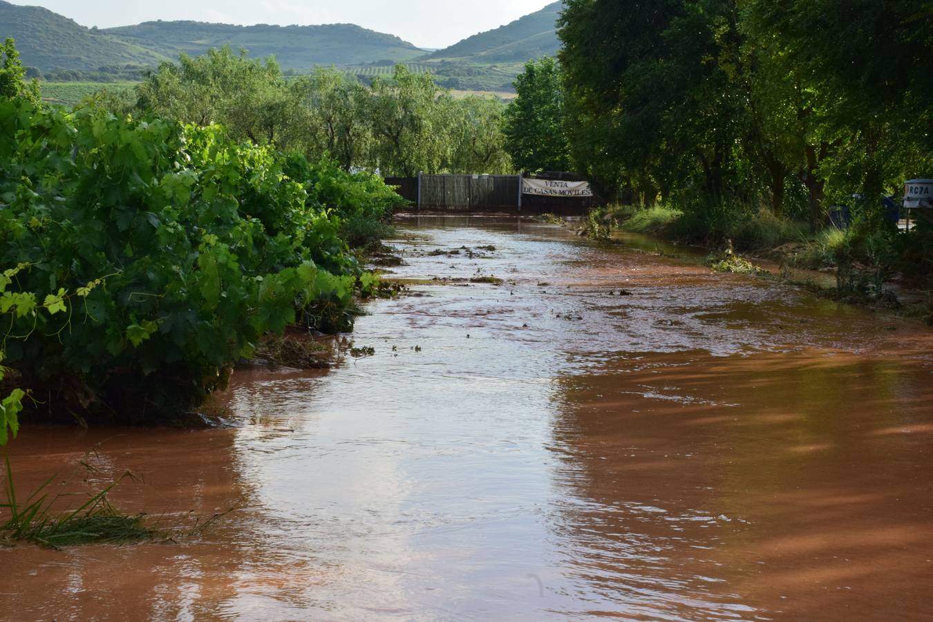 La tormenta anegó campos y calles en Navarrete.