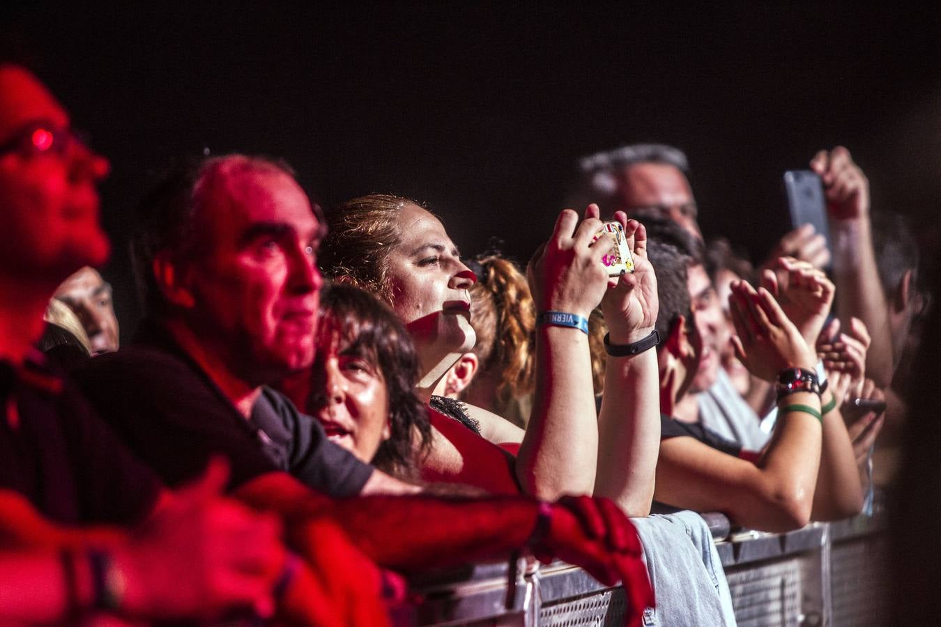 Los seguidores del cantante disfrutaron de lo lindo del concierto. 