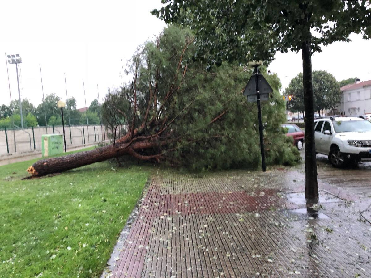 Han sido varios minutos en los que el granizo ha caído con fuerza provocando graves daños e inundaciones.