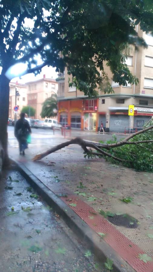 Han sido varios minutos en los que el granizo ha caído con fuerza provocando graves daños e inundaciones.