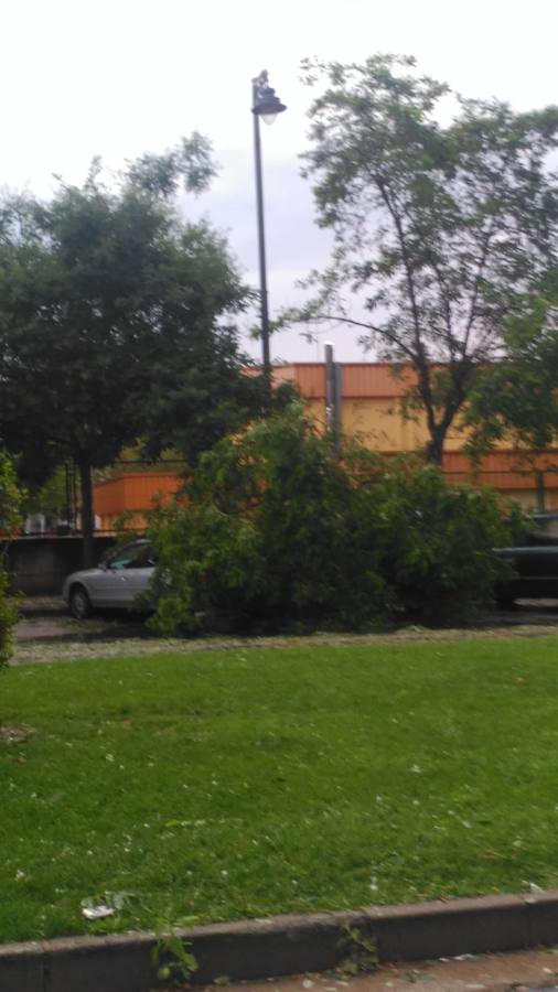 Han sido varios minutos en los que el granizo ha caído con fuerza provocando graves daños e inundaciones.