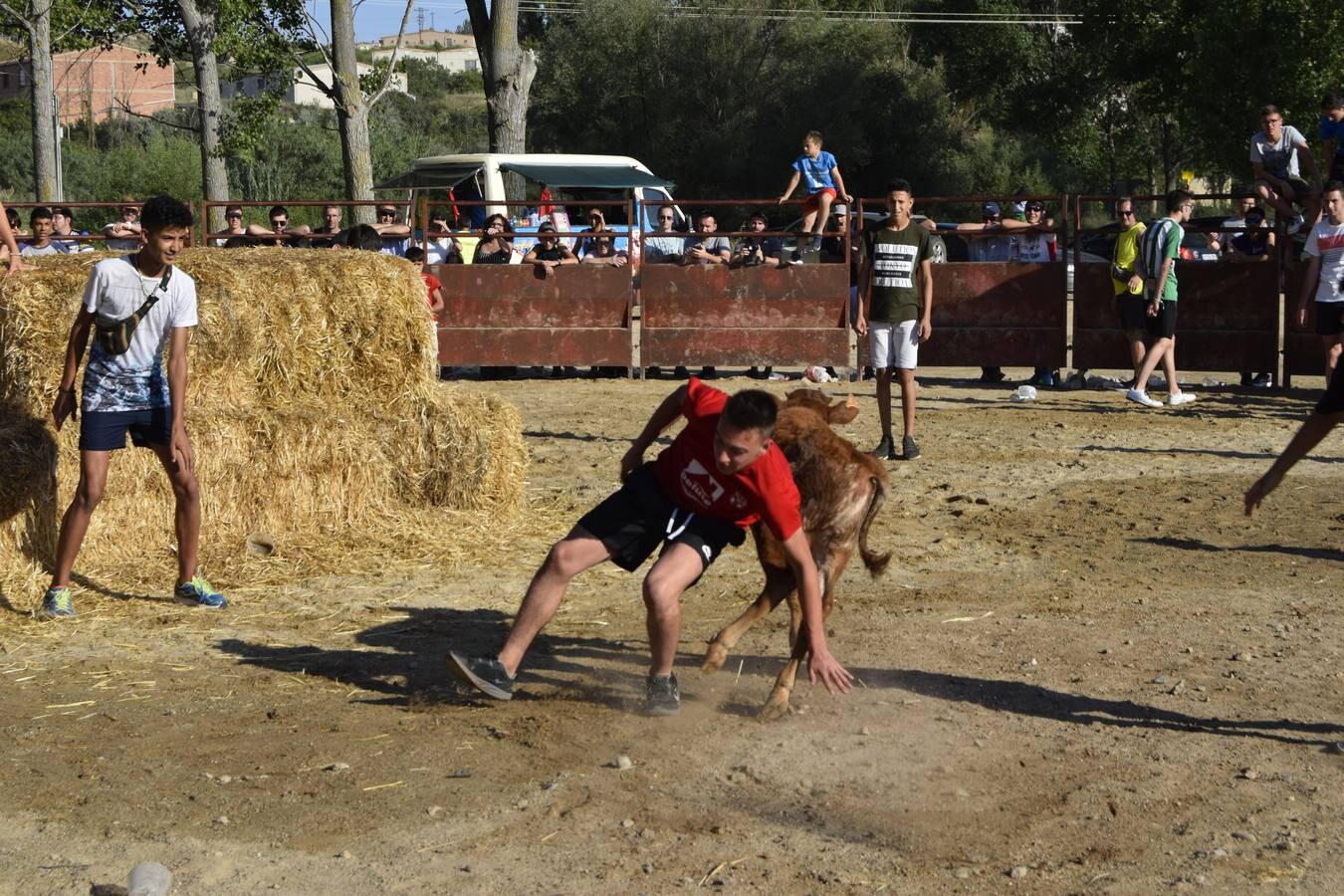 Inauguración de las piscinas municipales, elección de corporación infantil y catones y capea en la plaza de toros portátil. Son fotos de diferentes días