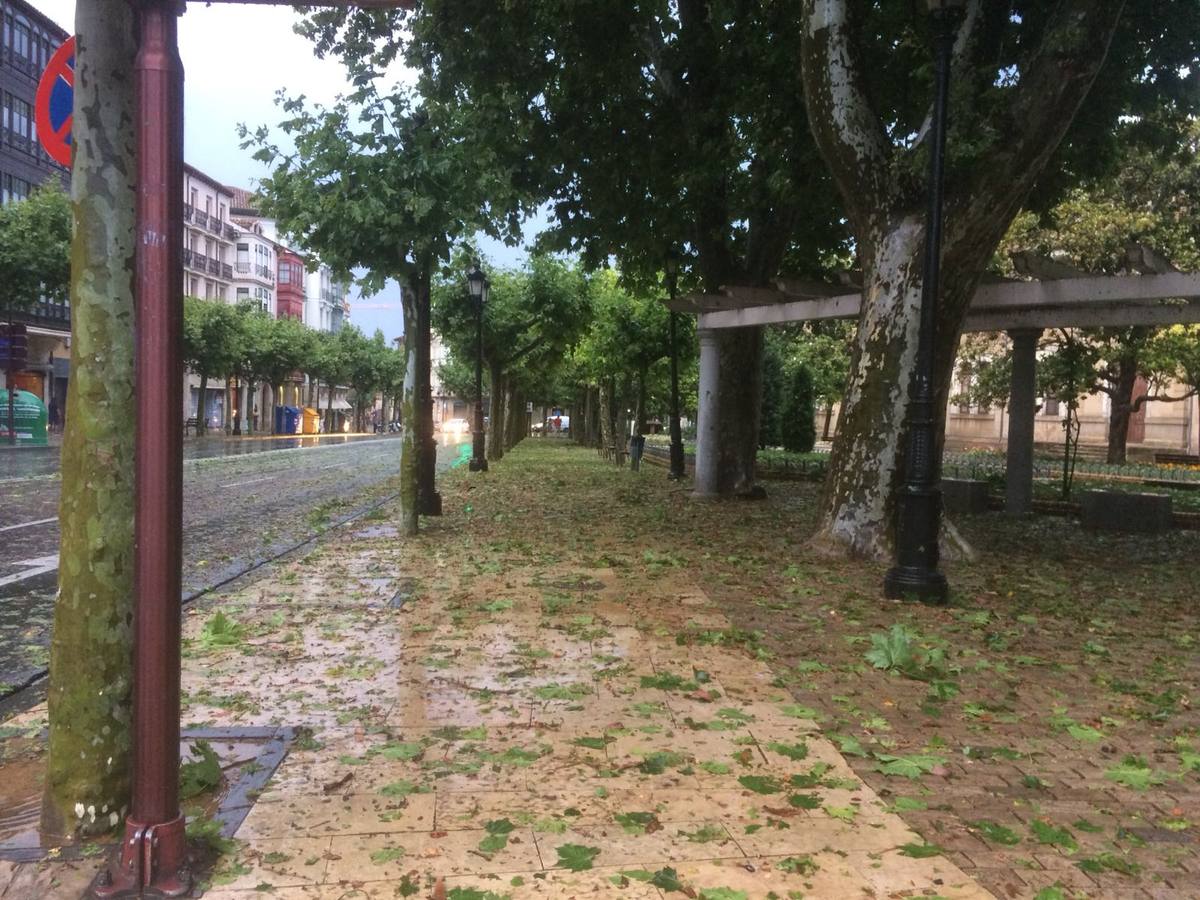 Nuestros lectores nos han enviado decenas de imágenes de los destrozos de la tormenta del domingo en Logroño.