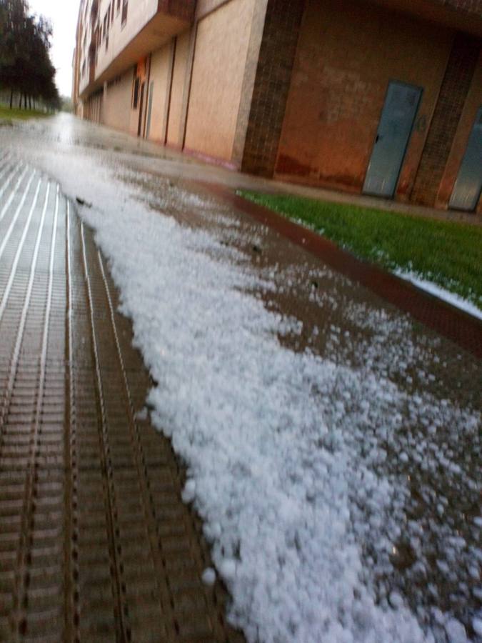 Nuestros lectores nos han enviado decenas de imágenes de los destrozos de la tormenta del domingo en Logroño.