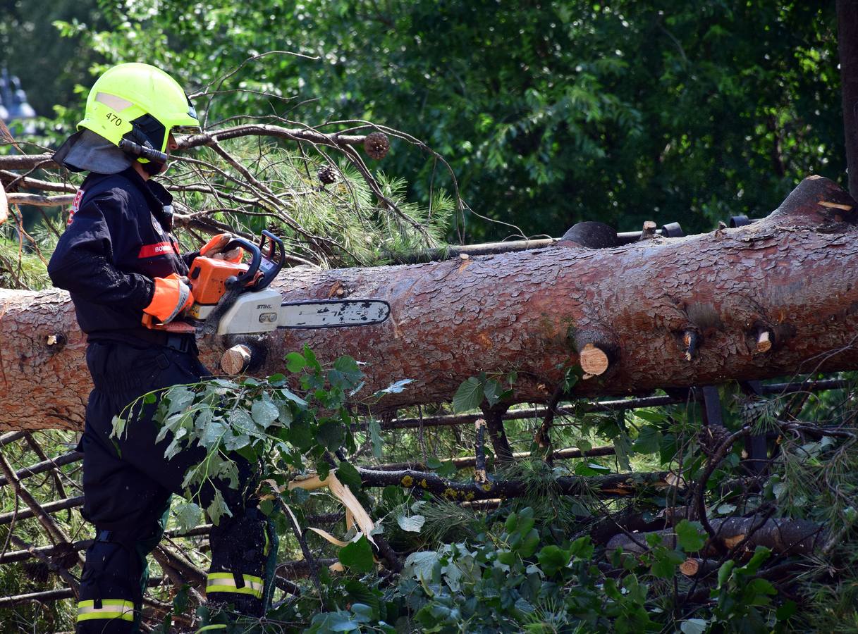 Un árbol de grandes dimensiones se ha venido abajo junto al Puente de Hierro y la Casa de las Ciencias, inutilizando carretera en la calle del Ebro