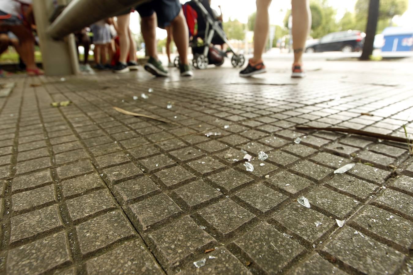 Decenas de marquesinas de Logroño han amanecido esta mañana con los cristales rotos, en lo que parece ser un acto vandálico que se ha repetido por casi toda la ciudad entre la 1 y las 5 de la madrugada. 