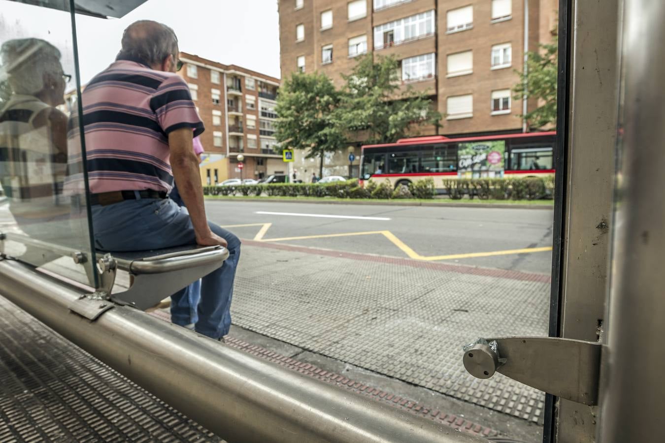 Decenas de marquesinas de Logroño han amanecido esta mañana con los cristales rotos, en lo que parece ser un acto vandálico que se ha repetido por casi toda la ciudad entre la 1 y las 5 de la madrugada. 