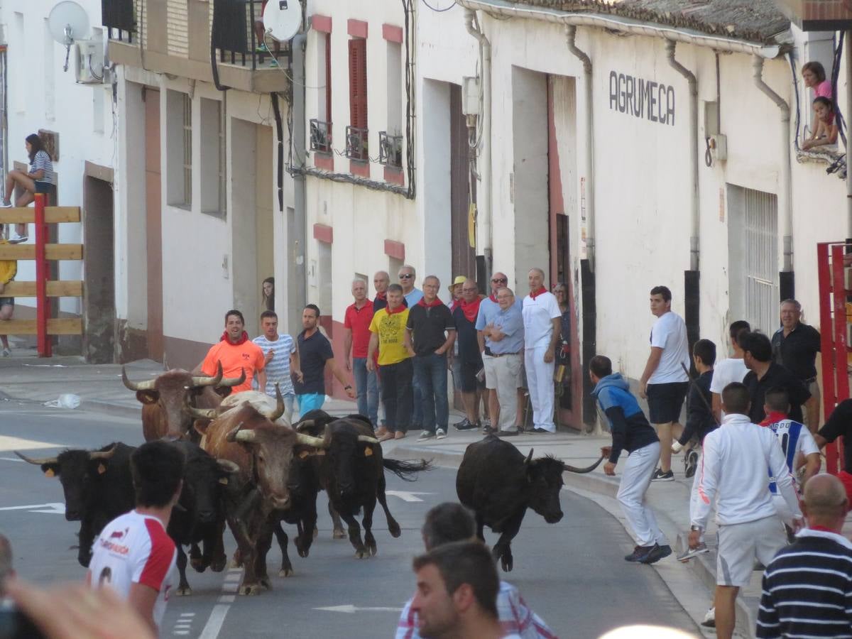 Este viernes ha sido el día dedicados a los mayores en las fiestas patronales de Alfaro