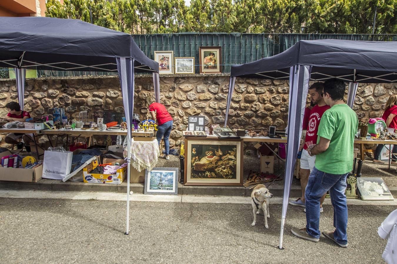 Las imágenes de la jornada solidaria en Torrecilla en Cameros