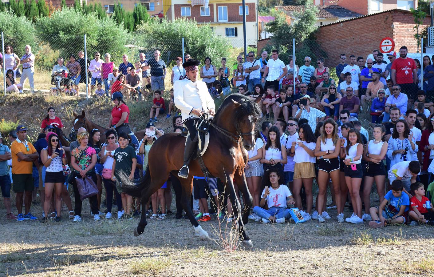 Las imágenes de la tradicional carrera ecuestre del Iregua