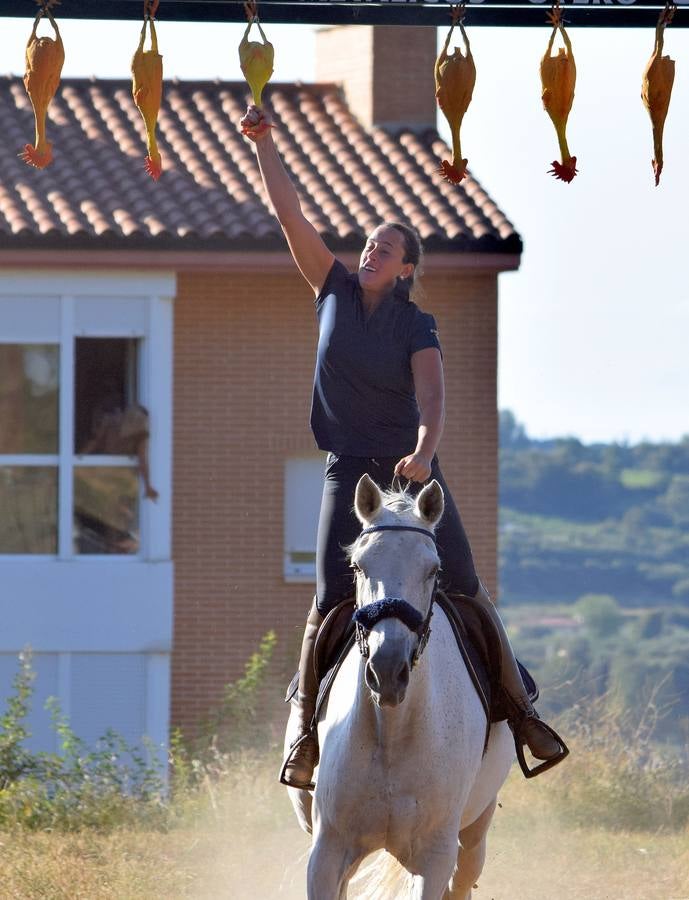 Las imágenes de la tradicional carrera ecuestre del Iregua