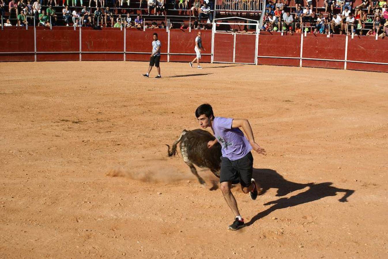 Fotos: Víspera del gran día de Uruñuela