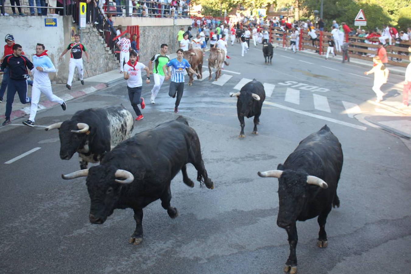 Unos 600 jóvenes compartieron la comida popular y fiesta pinchadiscos en el penúltimo día de fiestas de Alfaro