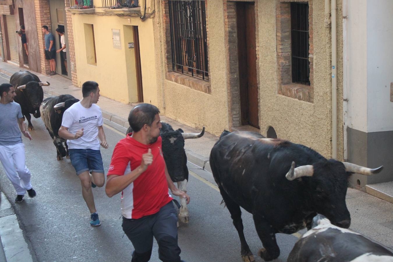 Un encierro de toros, degustación y boleros cerraron las fiestas alfareñas 