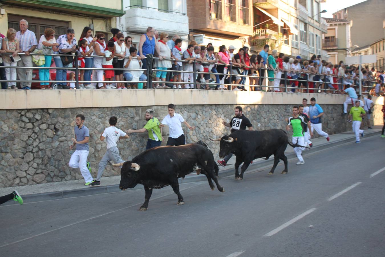 Un encierro de toros, degustación y boleros cerraron las fiestas alfareñas 