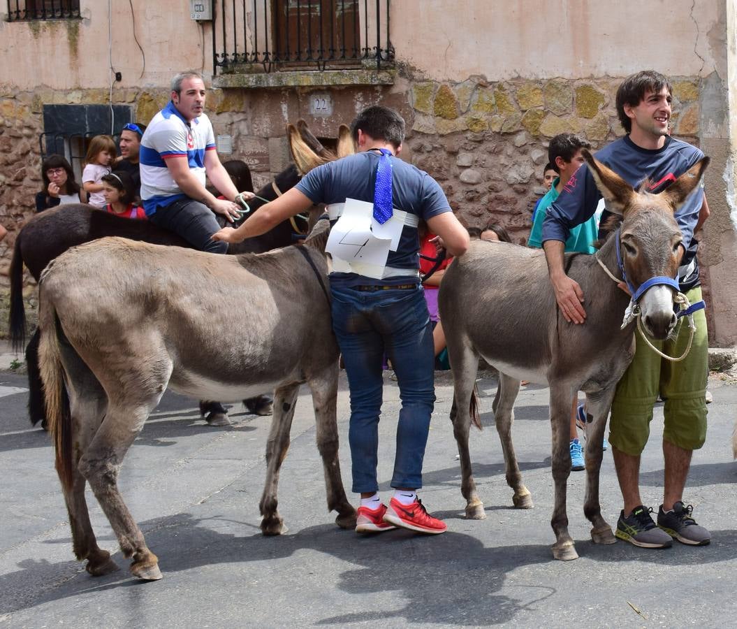 Fotos: Carrera de Burros de Tricio