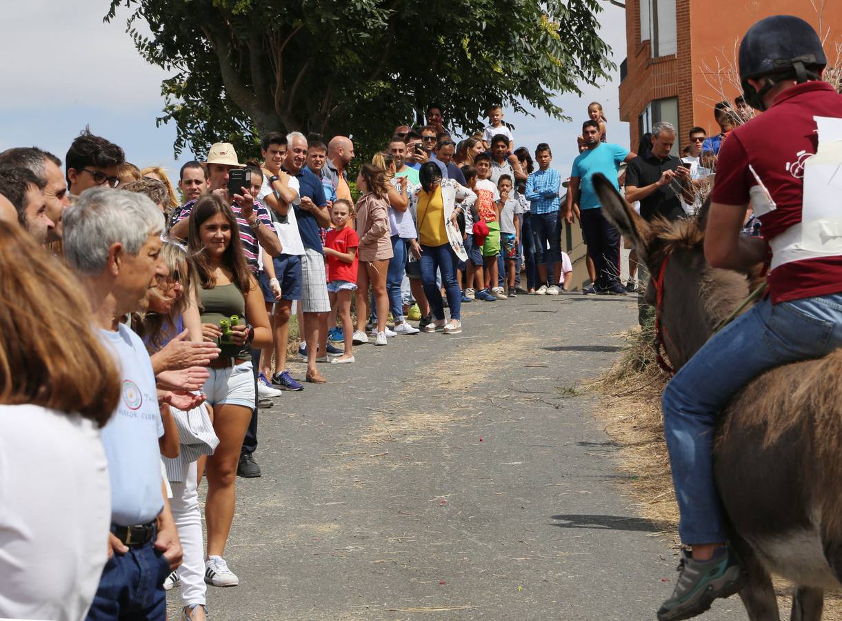 Fotos: Carrera de Burros de Tricio