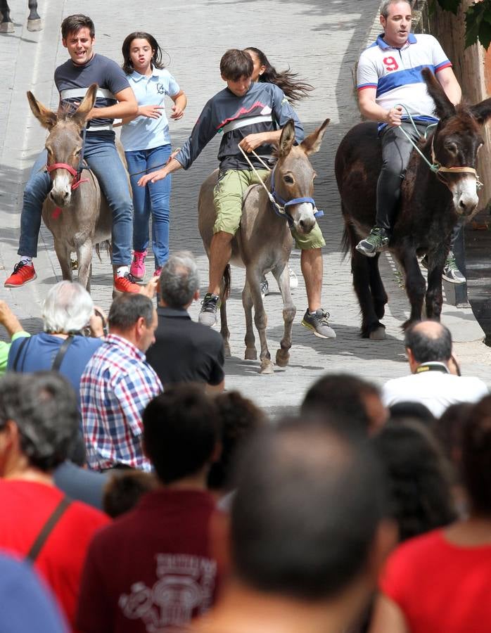 Fotos: Carrera de Burros de Tricio