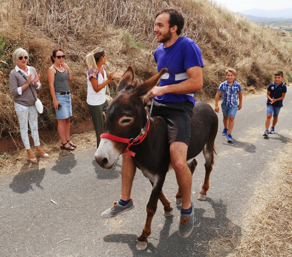 Fotos: Carrera de Burros de Tricio