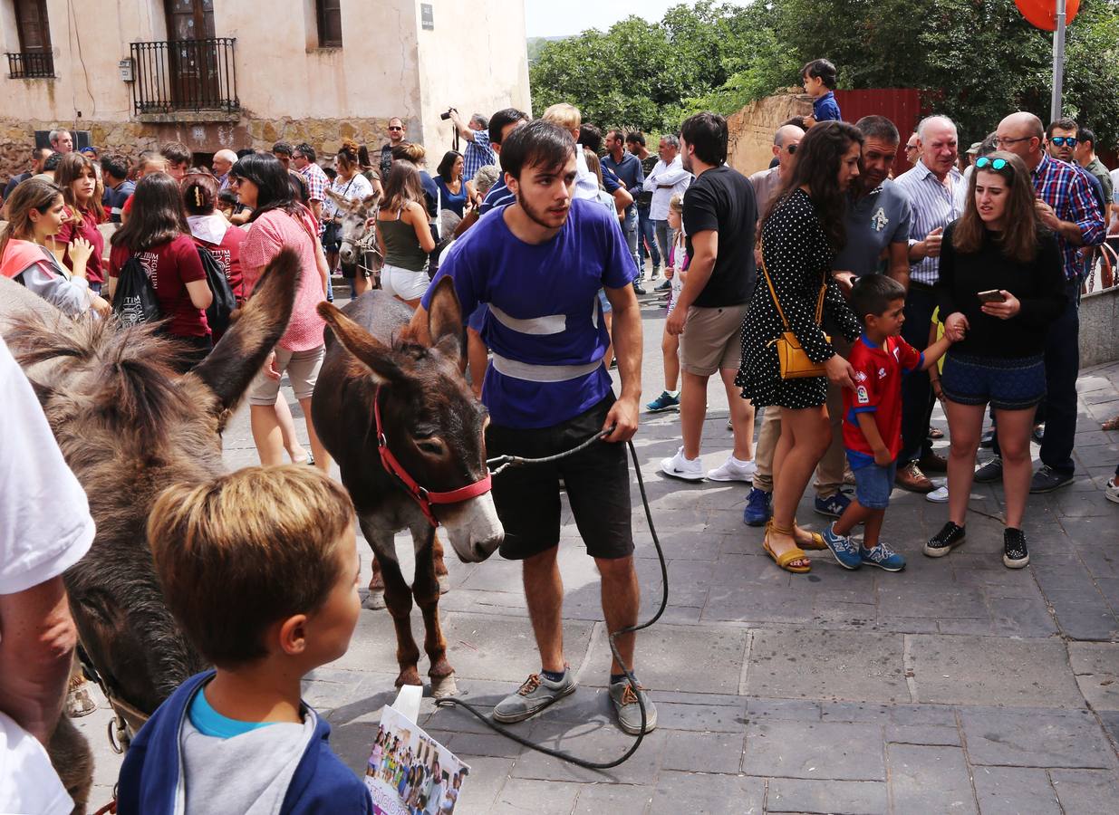 Fotos: Carrera de Burros de Tricio