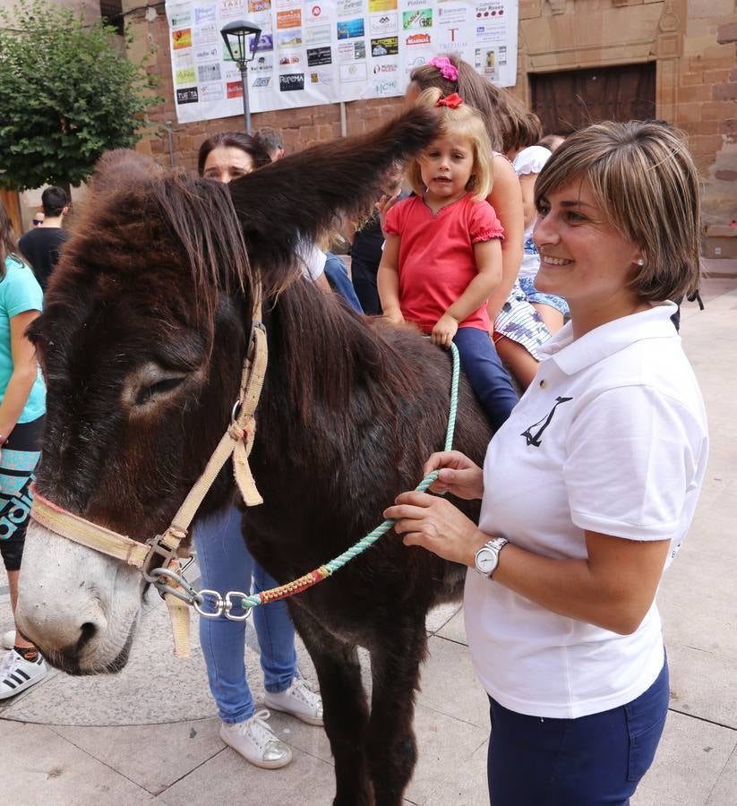 Fotos: Carrera de Burros de Tricio