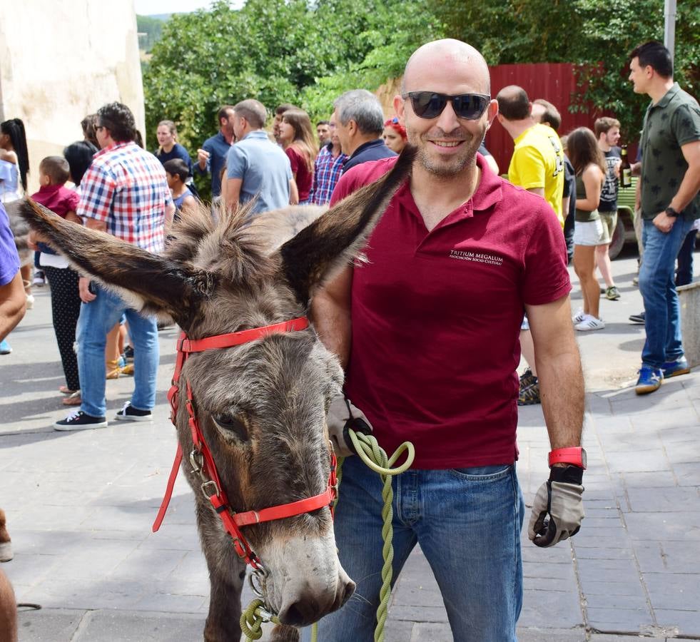 Fotos: Carrera de Burros de Tricio
