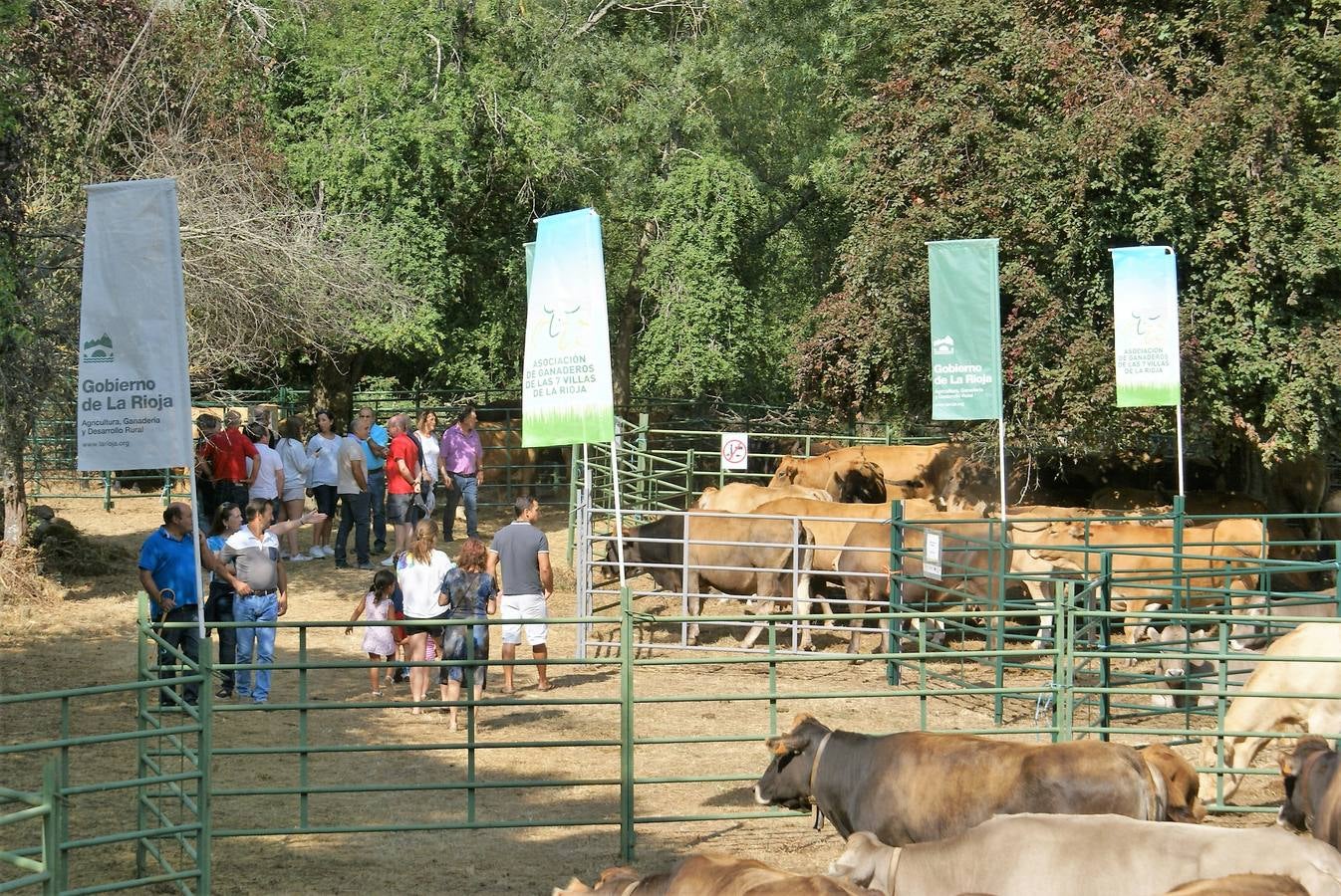 Fotos: Feria de ganado de las siete villas en Viniegra de Abajo