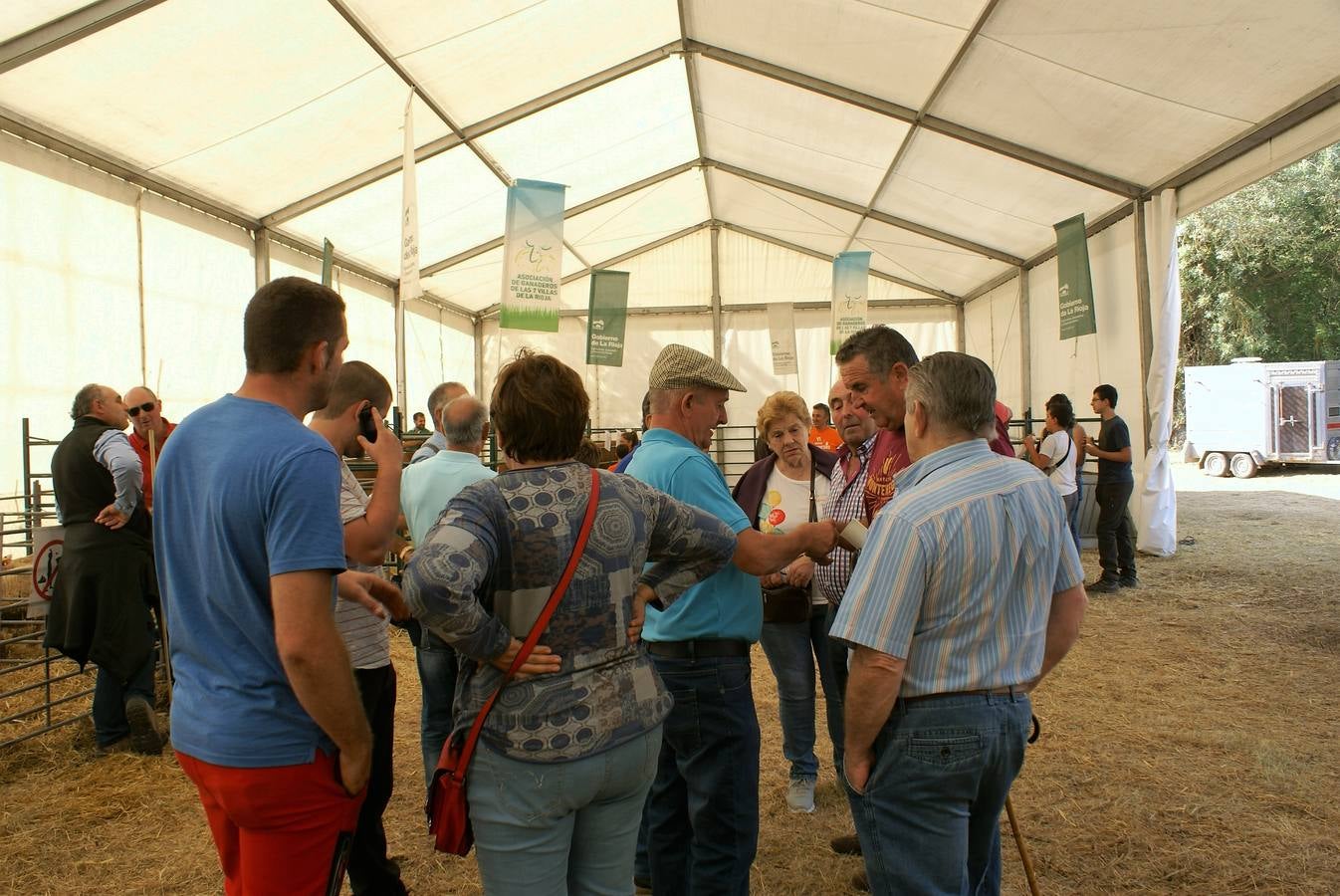 Fotos: Feria de ganado de las siete villas en Viniegra de Abajo