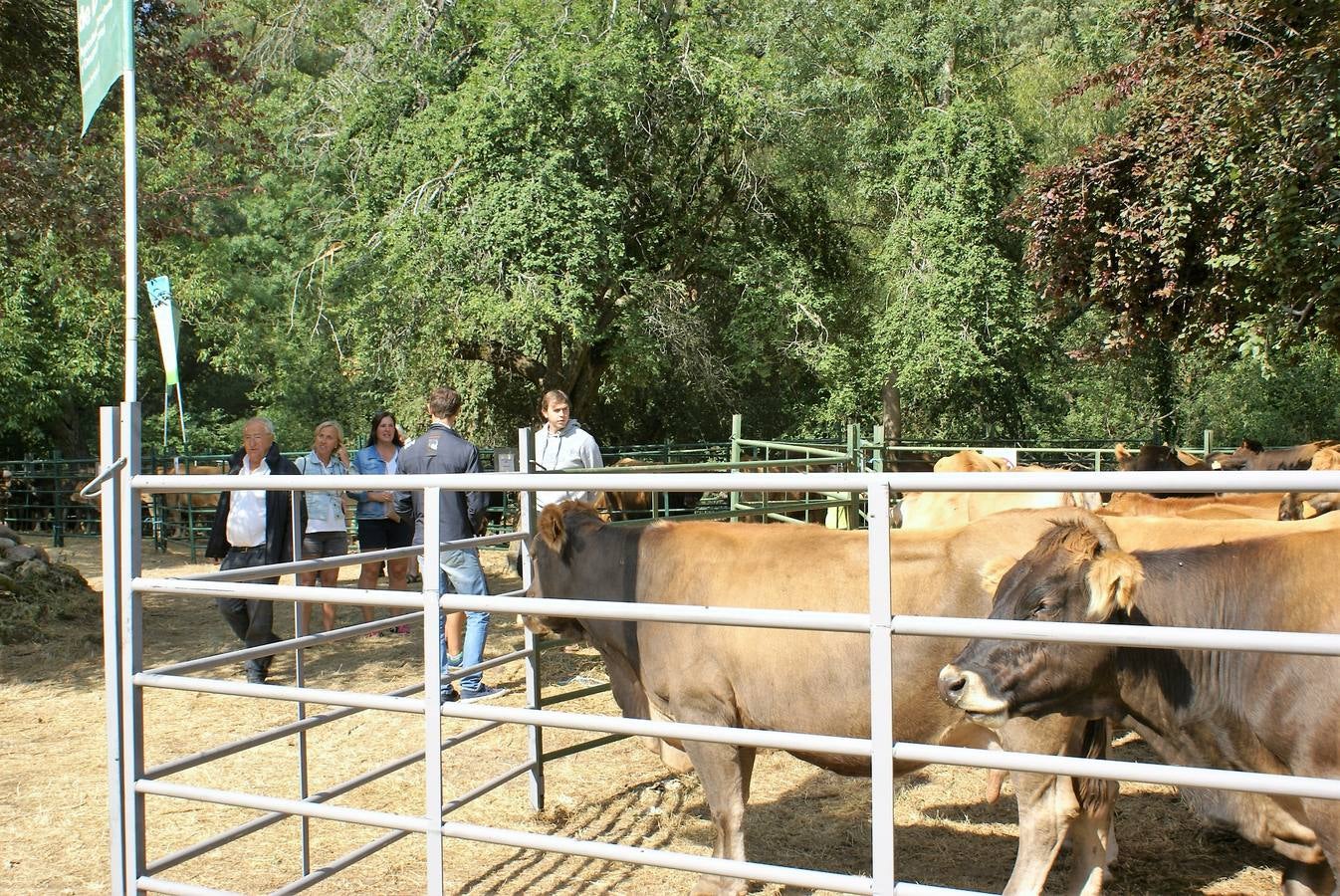 Fotos: Feria de ganado de las siete villas en Viniegra de Abajo