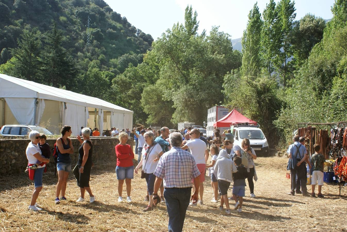 Fotos: Feria de ganado de las siete villas en Viniegra de Abajo