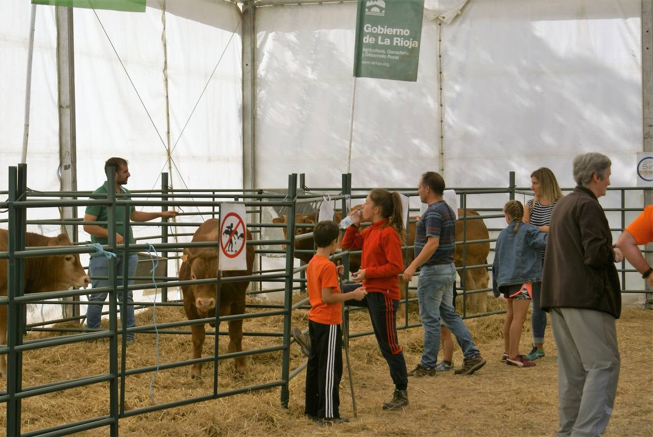 Fotos: Feria de ganado de las siete villas en Viniegra de Abajo