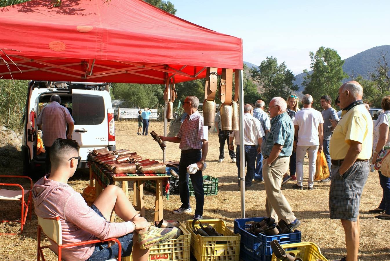 Fotos: Feria de ganado de las siete villas en Viniegra de Abajo