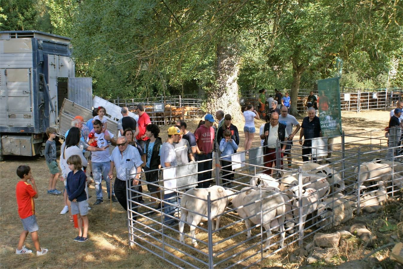 Fotos: Feria de ganado de las siete villas en Viniegra de Abajo