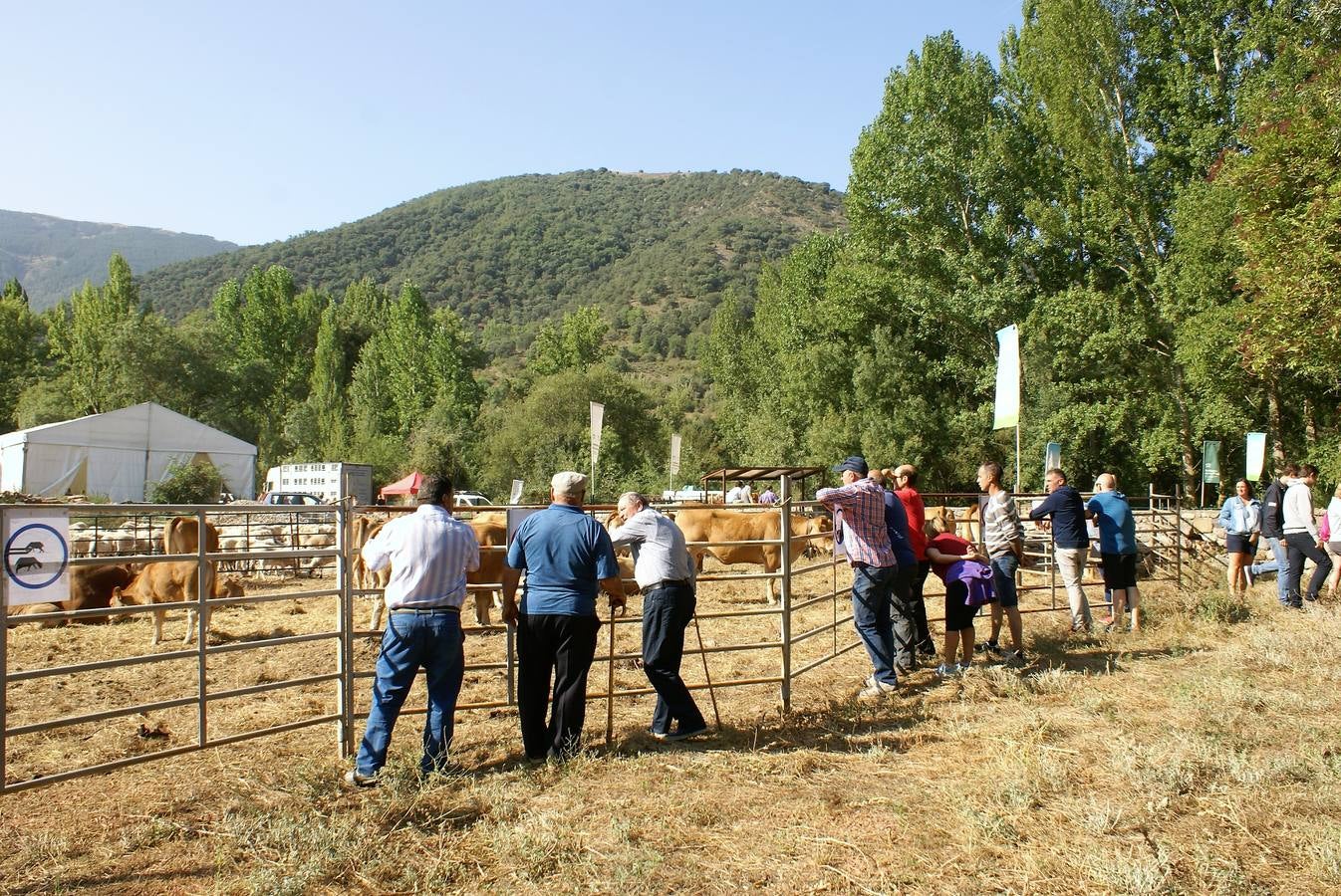 Fotos: Feria de ganado de las siete villas en Viniegra de Abajo