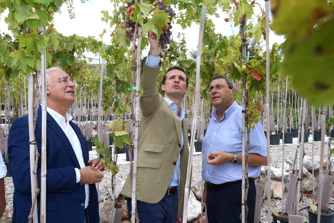 El presidente del Partido Popular Pablo Casado ha visitado hoy La Rioja y se ha interesado por los temas candentes de la región.